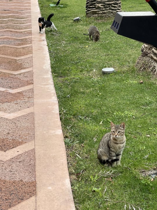 Gartenanlage Limak Limra Hotel & Resort