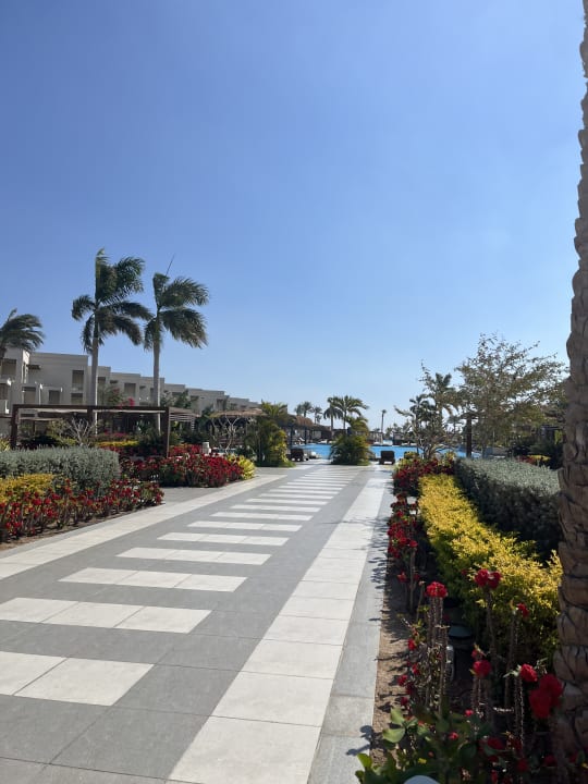 Pool Steigenberger Resort Ras Soma