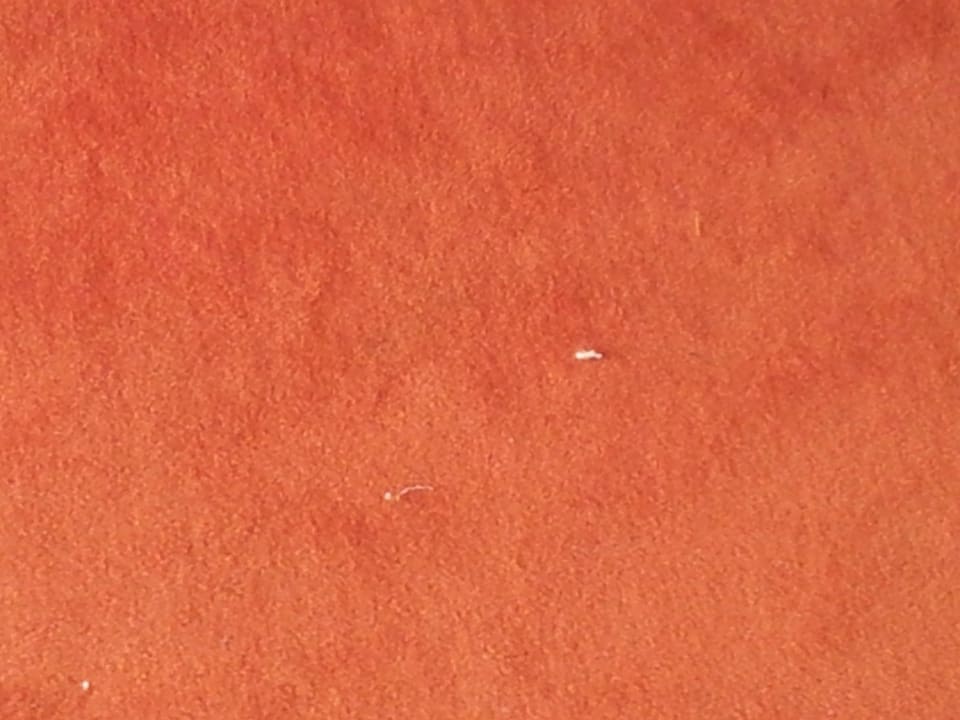 Teppich Grand Palladium Select Bávaro Resort & Spa