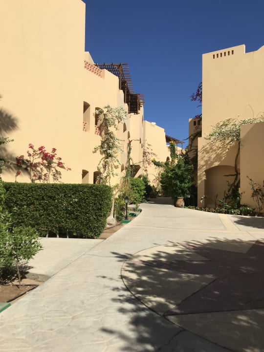 Gartenanlage Steigenberger Coraya Beach - Adults only