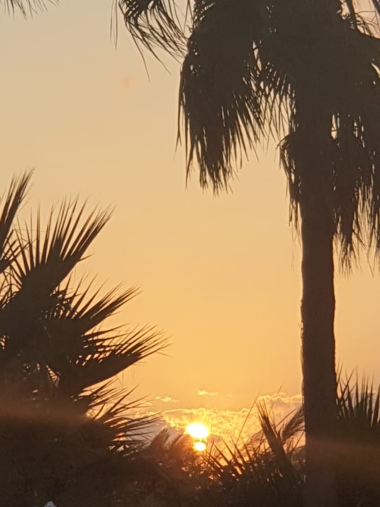 Ausblick Hotel Minos Mare Beach