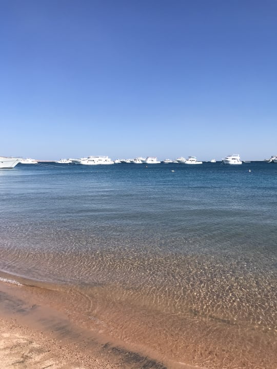 Strand The Grand Palace - Adults only