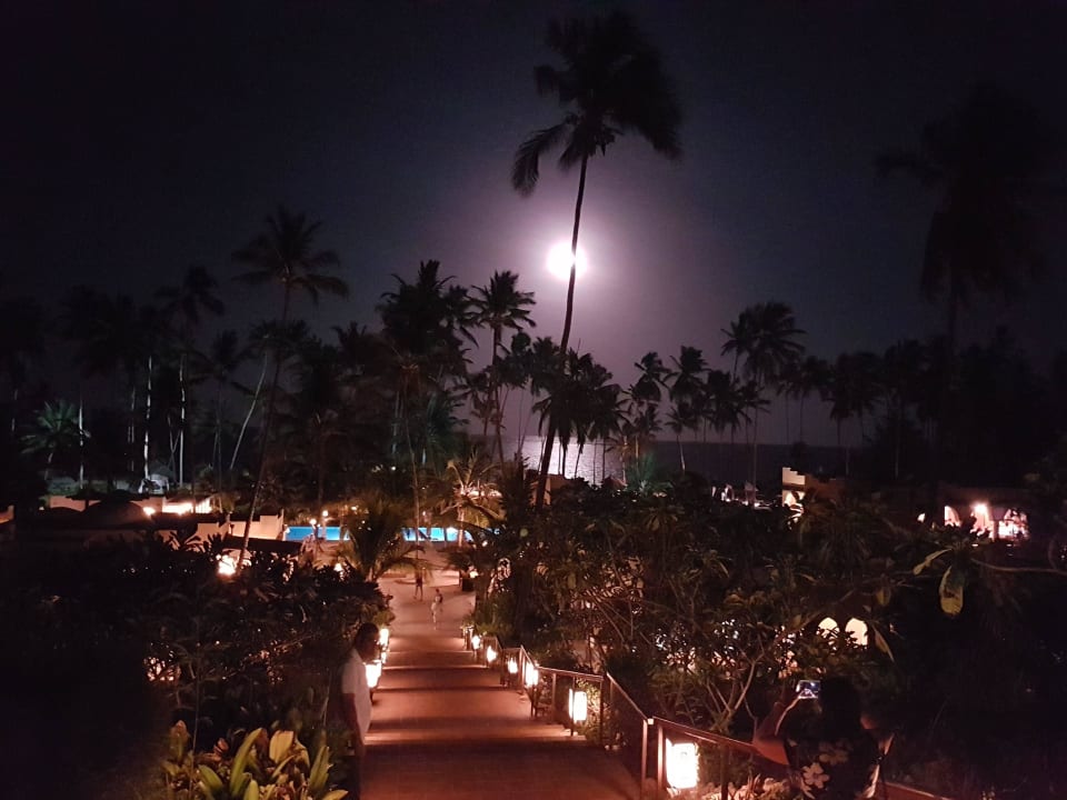 Blick vom Italiener  TUI Blue Bahari Zanzibar