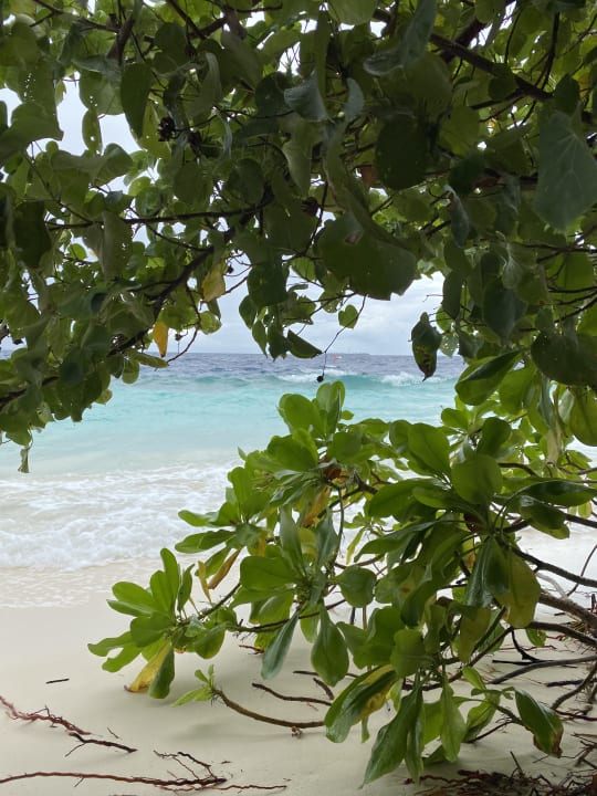 Strand ROBINSON MALDIVES