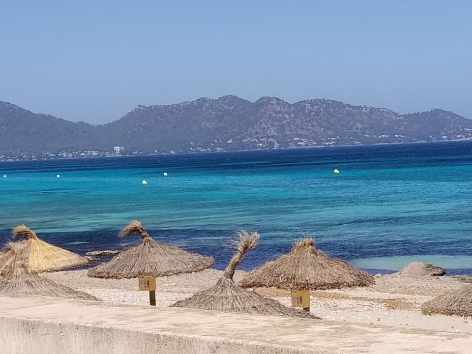 Strand allsun Hotel Borneo - Adults only