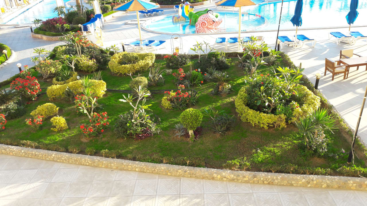 Pool SUNRISE Alora Aqua Park Resort