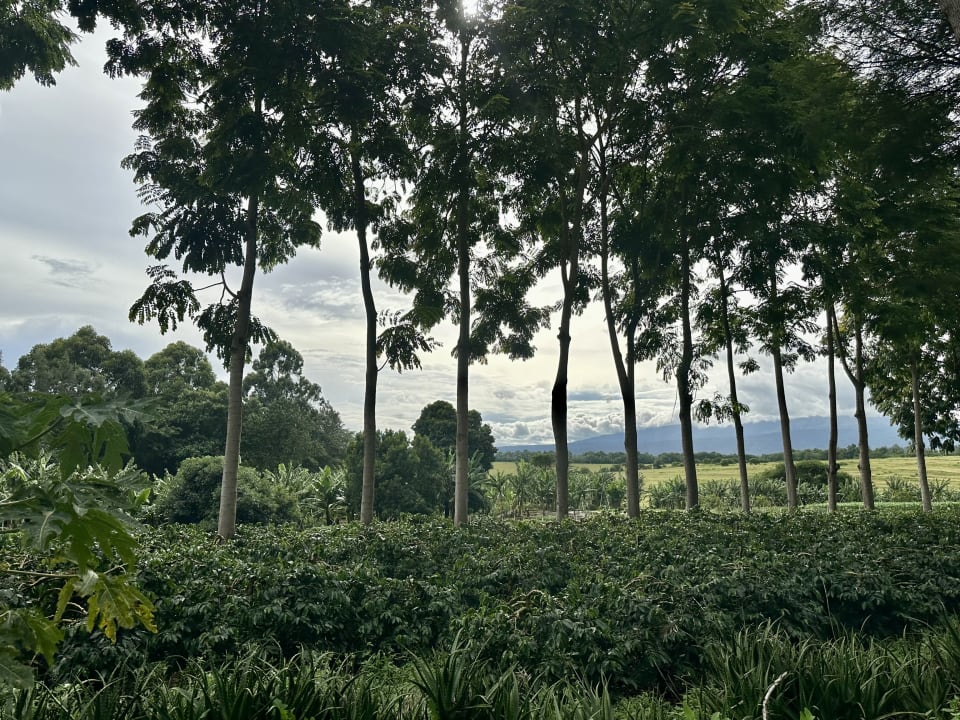 Außenansicht Ngorongoro Farm House