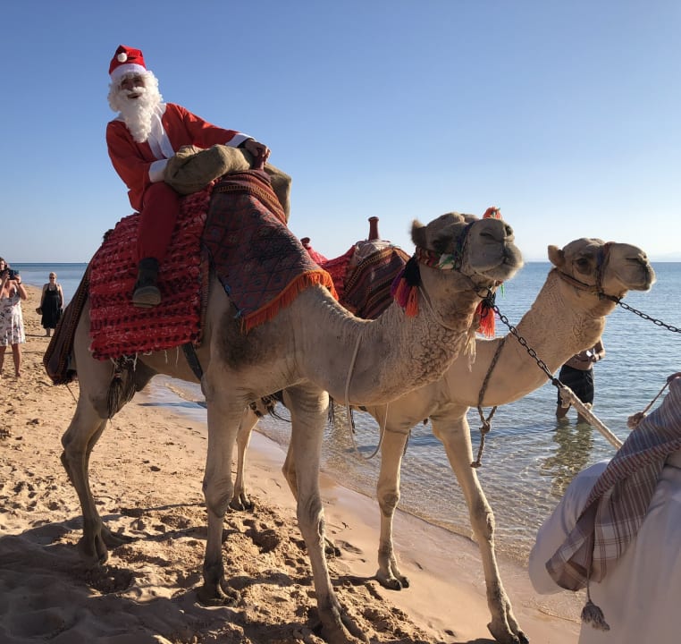 Sport & Freizeit ROBINSON SOMA BAY