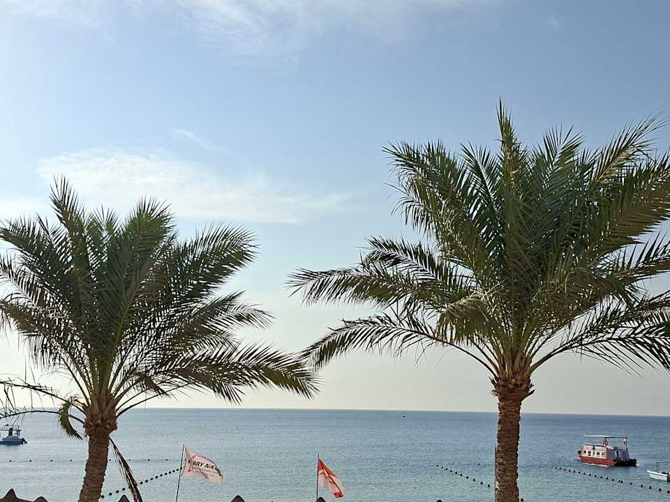 Ausblick JAZ Dahabeya