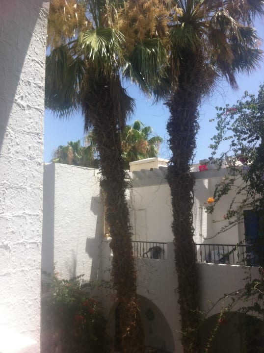 Hotel Nesrine Hotel Nesrine