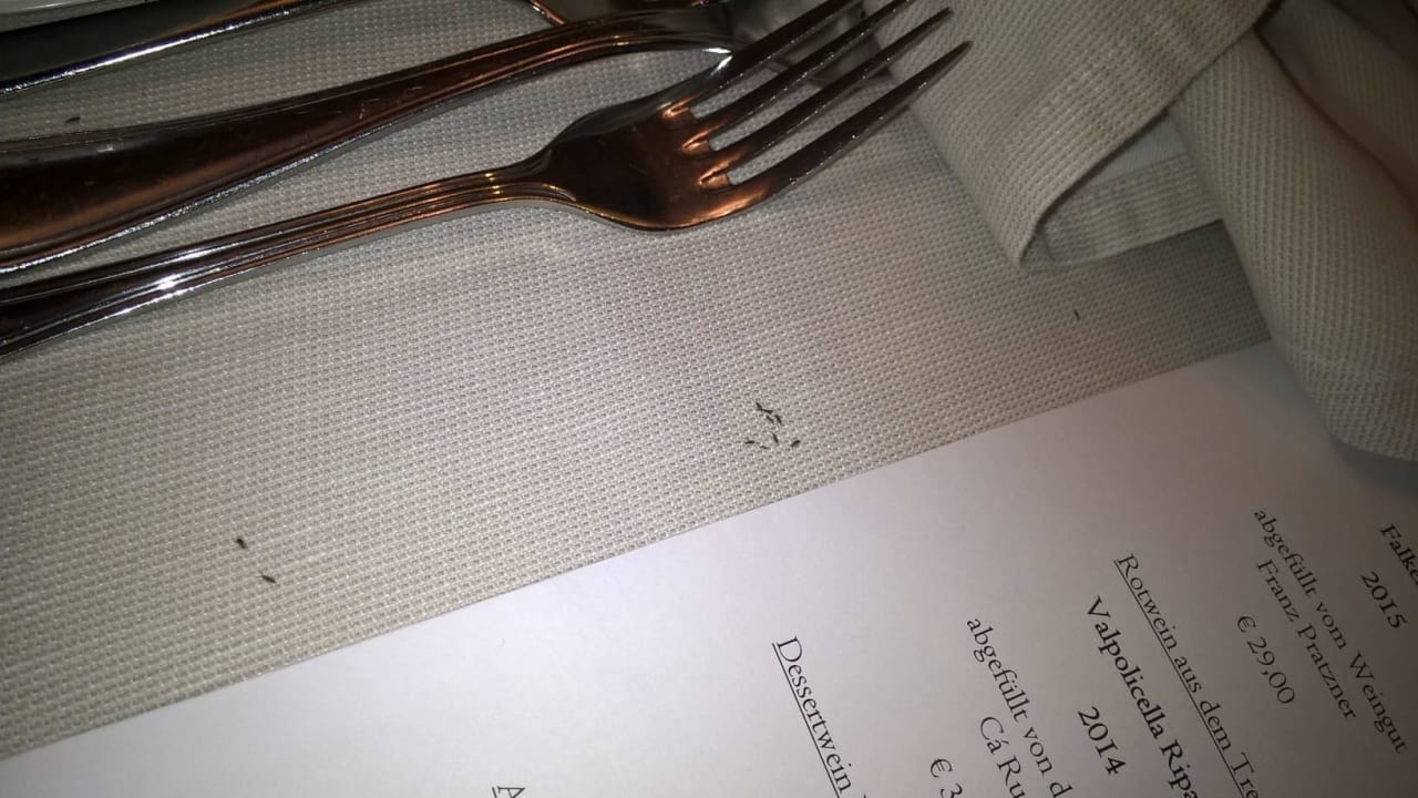 Kleine Käfer auf dem Tisch STROBLHOF Active Family SPA Resort