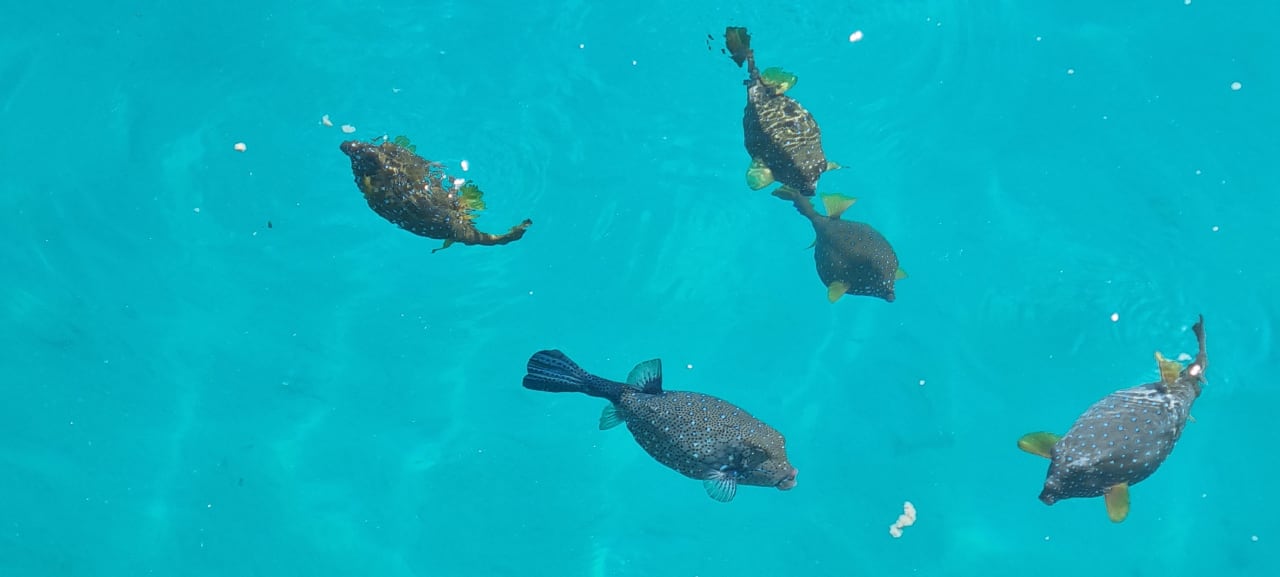 Sport & Freizeit The Grand Hotel Hurghada