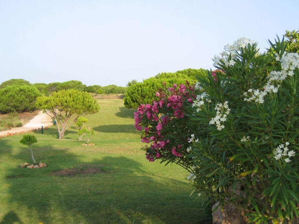 Suprebe jardin de l'hotel AP Adriana Beach Resort