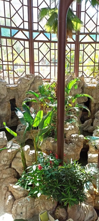 Gartenanlage Hotel Cordial Mogán Playa