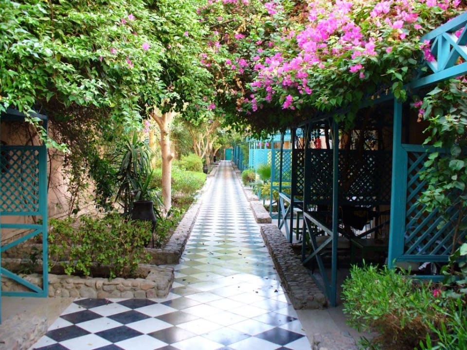 Fußweg vor den Bungalows. Giftun Azur Resort