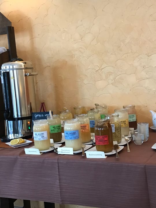 Gastro Villa del Mar