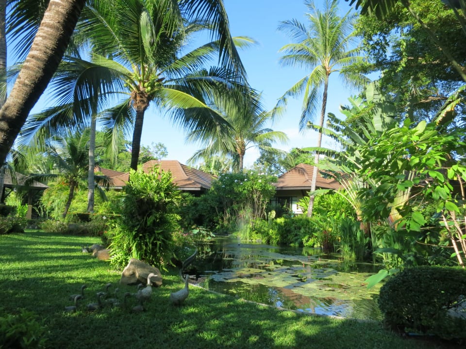 Gartenanlage Bo Phut Resort & Spa