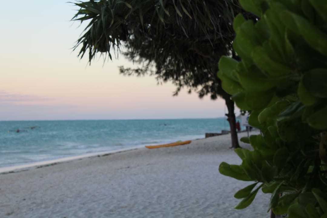 Strand Ocean Paradise Resort & Spa