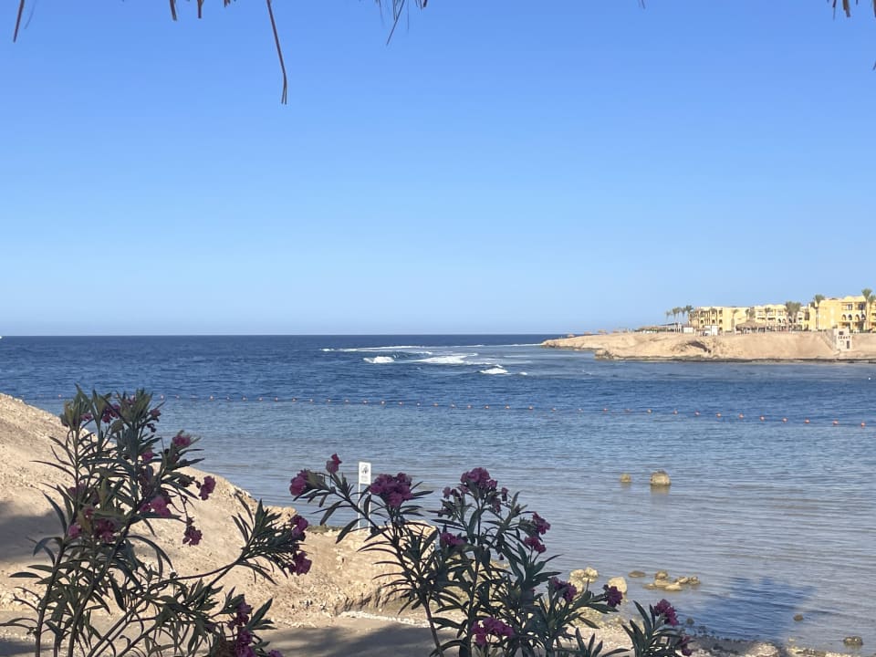 Strand Steigenberger Coraya Beach - Adults only