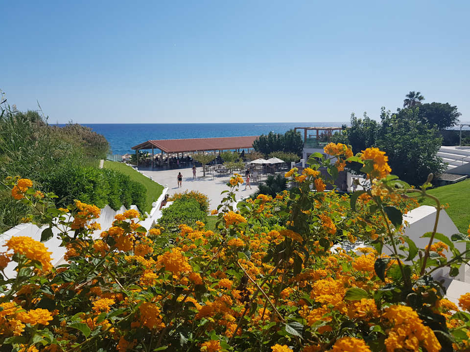 Strand Blue Sea Island