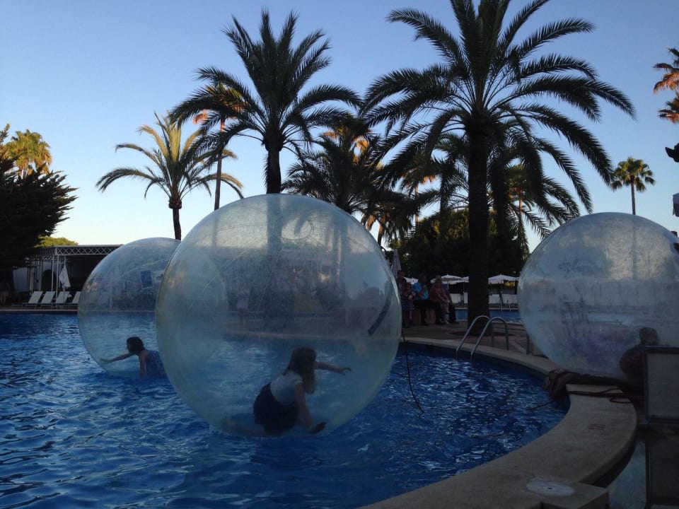 Abendprogramm am Pool Protur Vista Badia Aparthotel