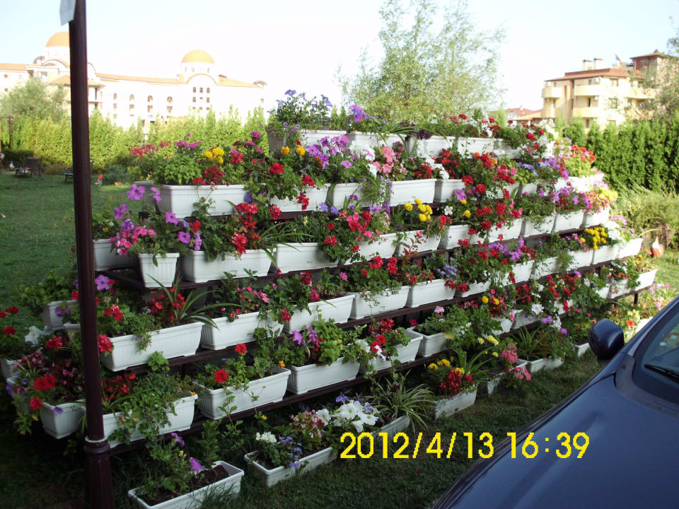 Bei der Außenterrasse, wunderschön gemacht! Hotel Cazablanka / Casablanca