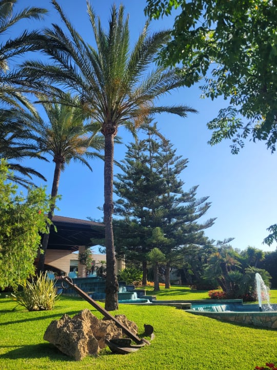 Gartenanlage Prinsotel La Dorada