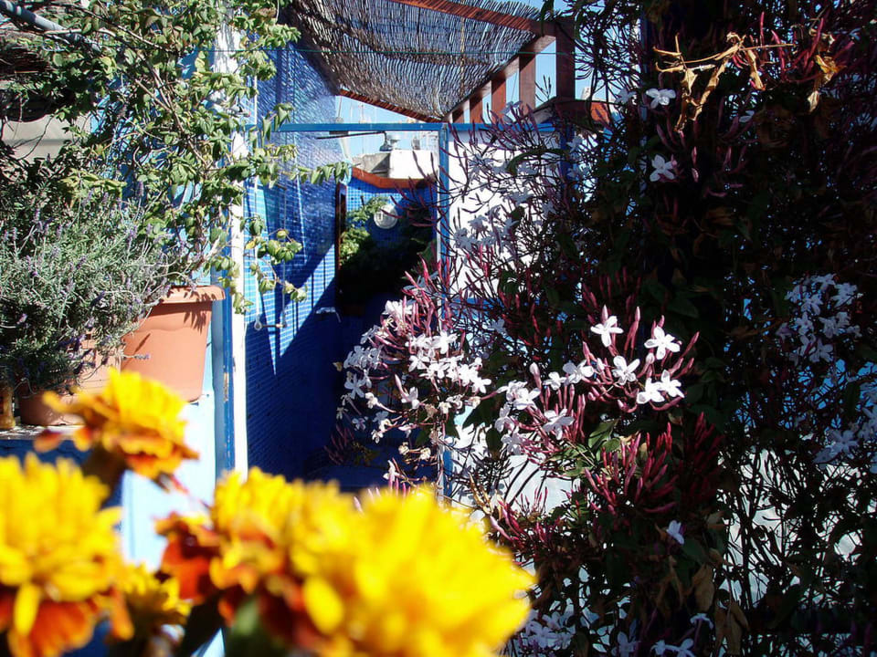 We love our plants & the environment Hostel Casa Caracol