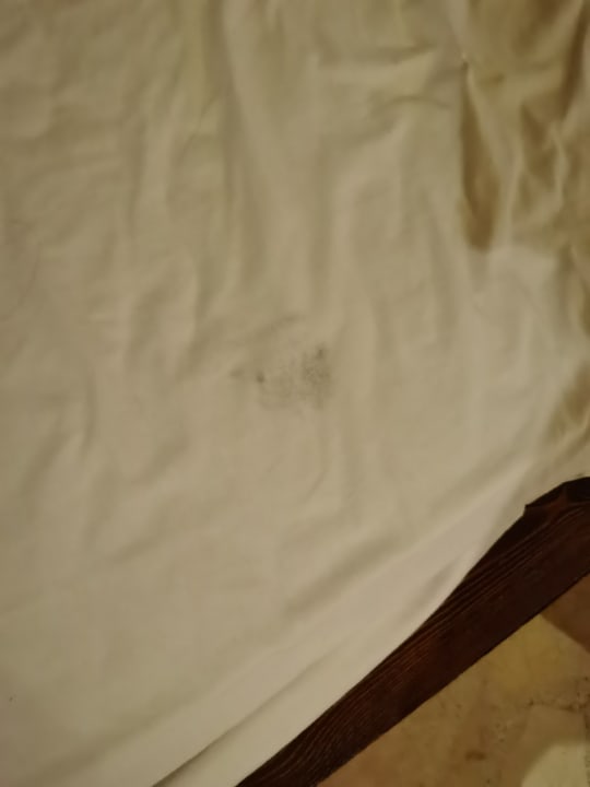 Zimmer Hotel Caves Beach Resort (Adults Only)