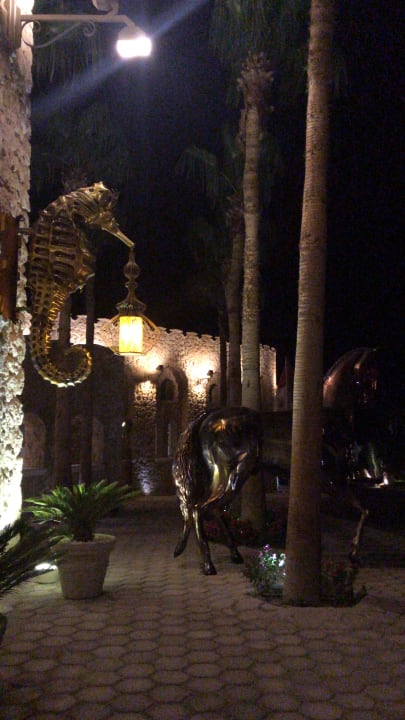 Sonstiges Pickalbatros Citadel Resort