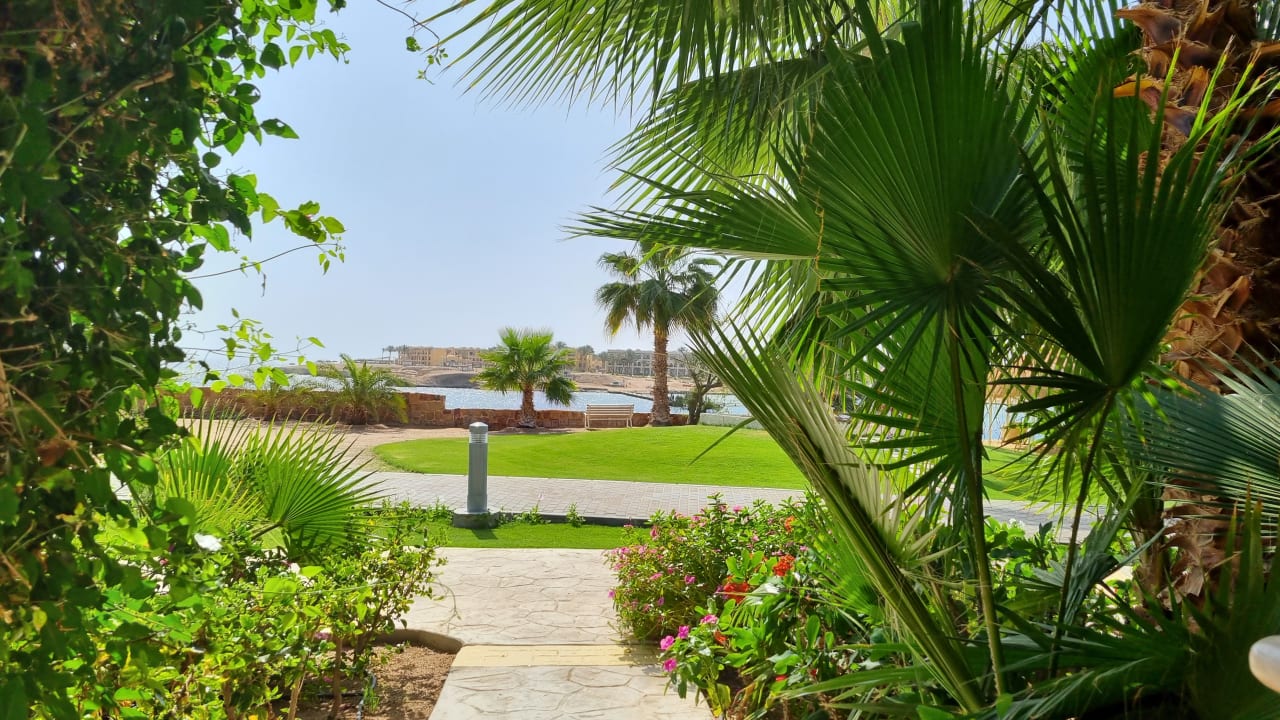 Ausblick Steigenberger Coraya Beach - Adults only