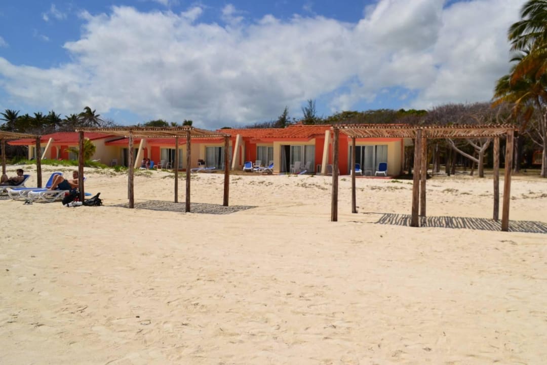 Duża, szeroka Starfish Cayo Guillermo