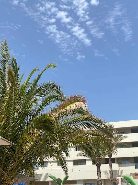 Pool Iberostar Waves Gaviotas Park