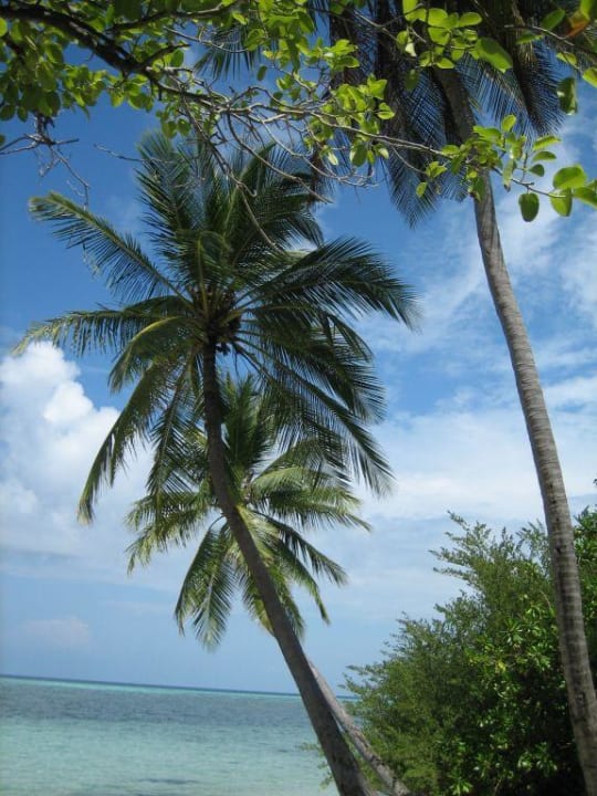 Ohne Worte Adaaran Select Hudhuran Fushi - Premium All Inclusive