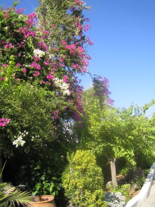Gartenanlage Mastichari Bay Hotel