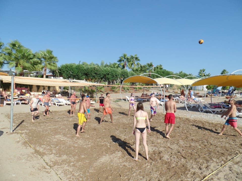 Beach - Volleyball Hotel Galeri Resort