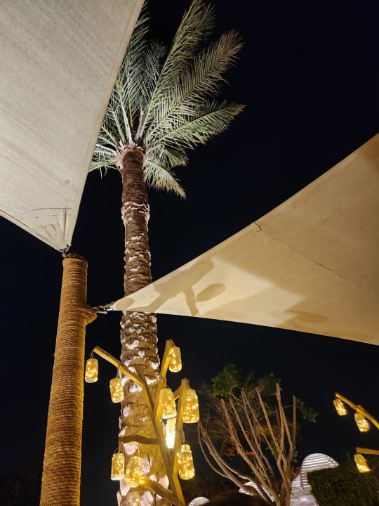 Gartenanlage Desert Rose