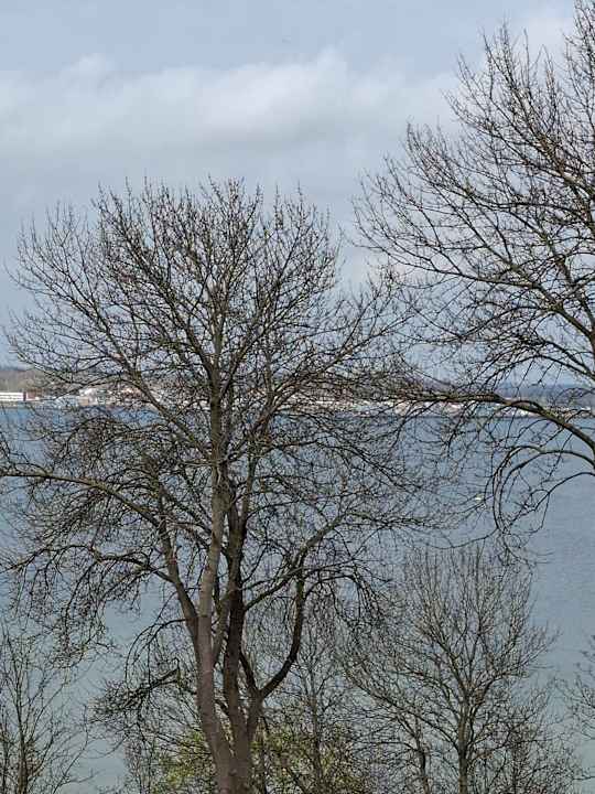 Ausblick Hotel Alte Fischereischule