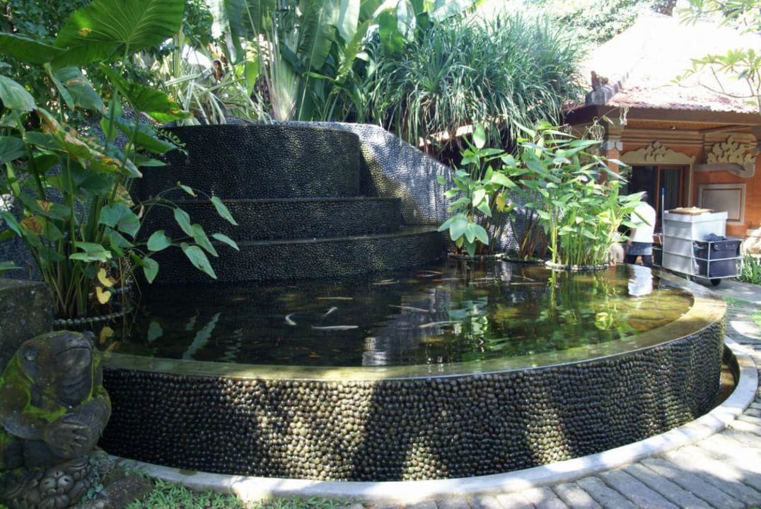 Teich mit Kois Puri Santrian