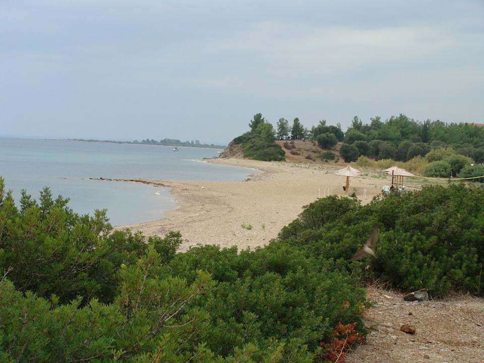 Ausblick vom Balkon Blue Dolphin Resort Hotel
