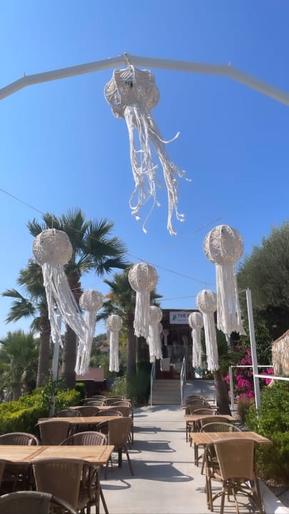 Gastro TUI MAGIC LIFE Bodrum - Adult Only (16+)
