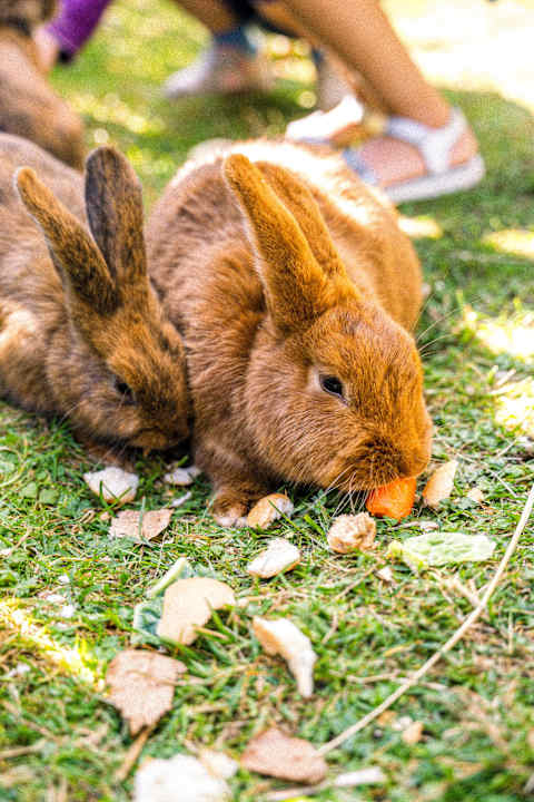 Sport & Freizeit Alphotel Tyrol