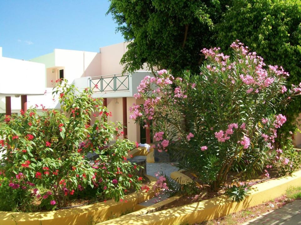 Bunte Blumenwelt HARPIN Georgioupolis Resort Aquapark & SPA