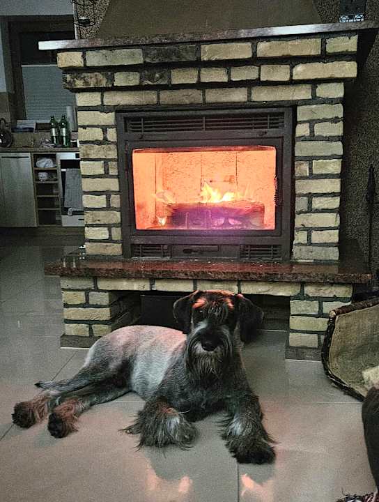 Sonstiges Ferienanlage Vierjahreszeiten