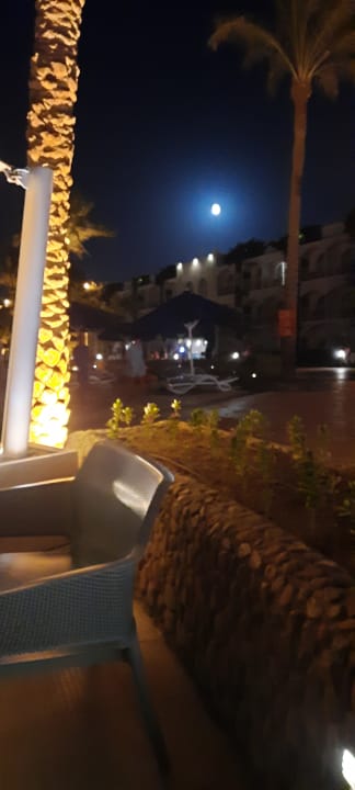 Ausblick Desert Rose