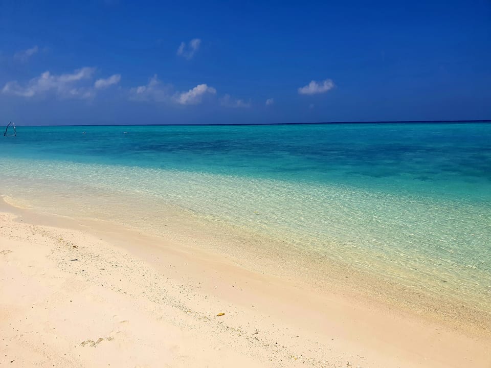 Strand Summer Island Maldives