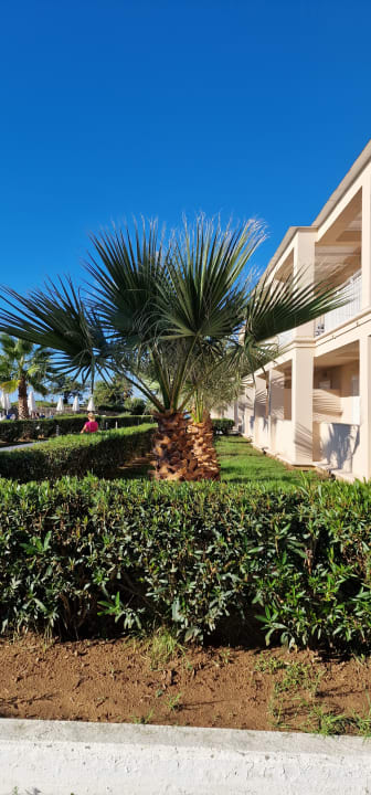 Gartenanlage Sandy Beach Resort