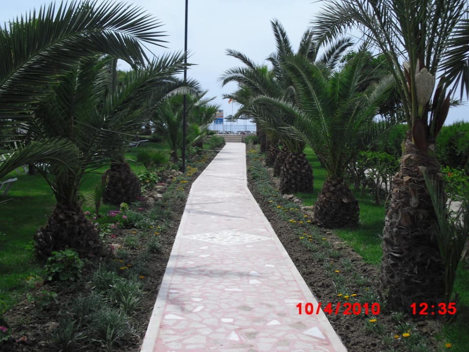 Weg durch die Gartenanlage zum Strand Kırbıyık Resort Hotel - Alanya