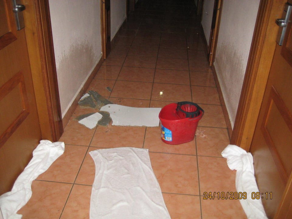 Unterwasserwelt Sandy Beach Resort