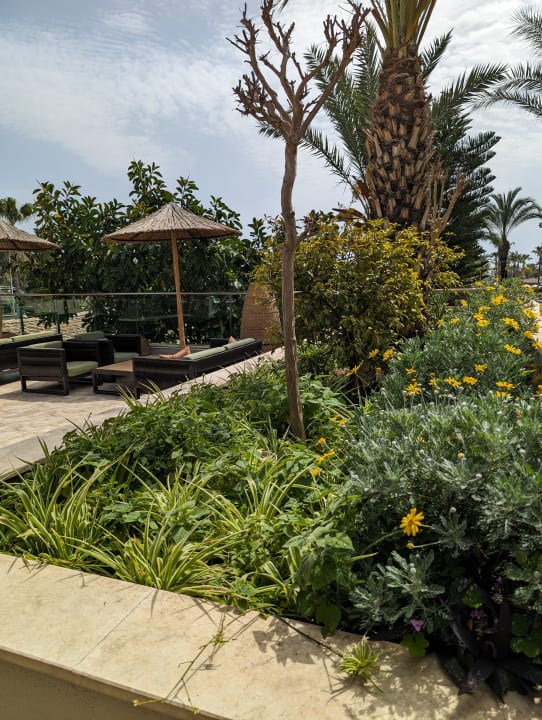 Gartenanlage Belek Beach Resort Hotel